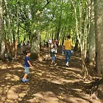 Campsite Toile Avec Terrasse, Acces Handicape - Api-1-52-1479 La Douze