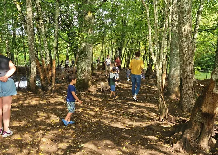 Camping Toile Avec Terrasse, Acces Handicape - Api-1-52-1479 La Douze